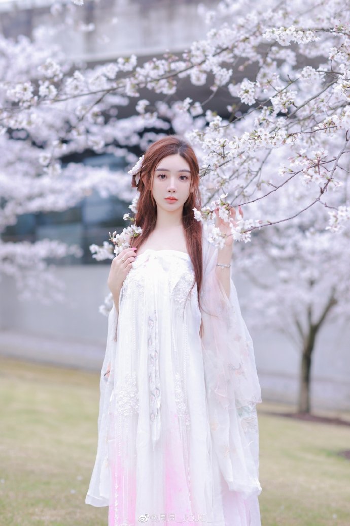 风骚律师