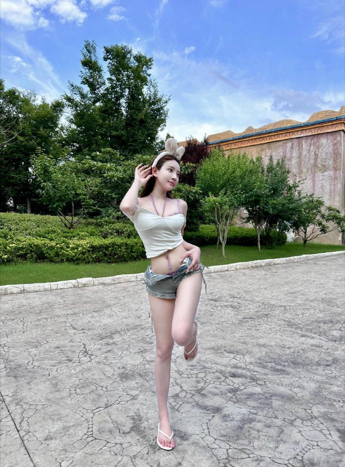 绿皮书