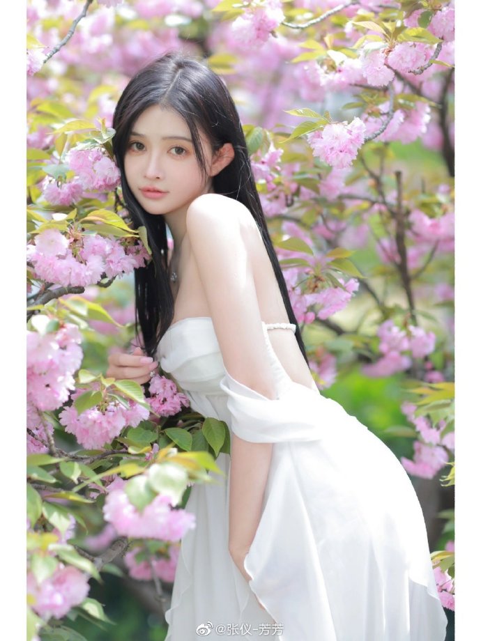 北平无战事 封面